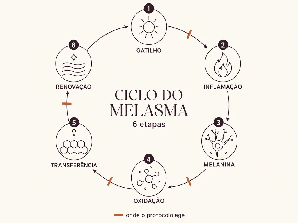 Diagrama do ciclo do melasma em 6 etapas, com as marcas de onde o protocolo interrompe